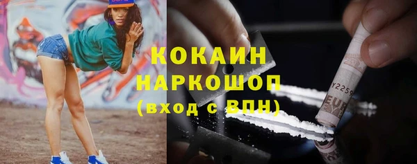 ешки Алексин