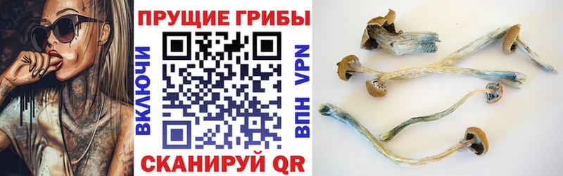 что такое наркотик  MEGA вход  Псилоцибиновые грибы GOLDEN TEACHER  Качканар 